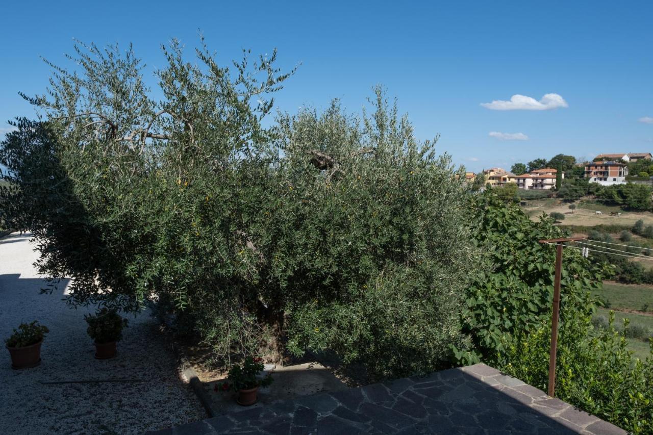La Casa Di Sara Leilighet Città della Pieve Eksteriør bilde